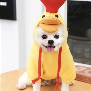 Chicken dog costume